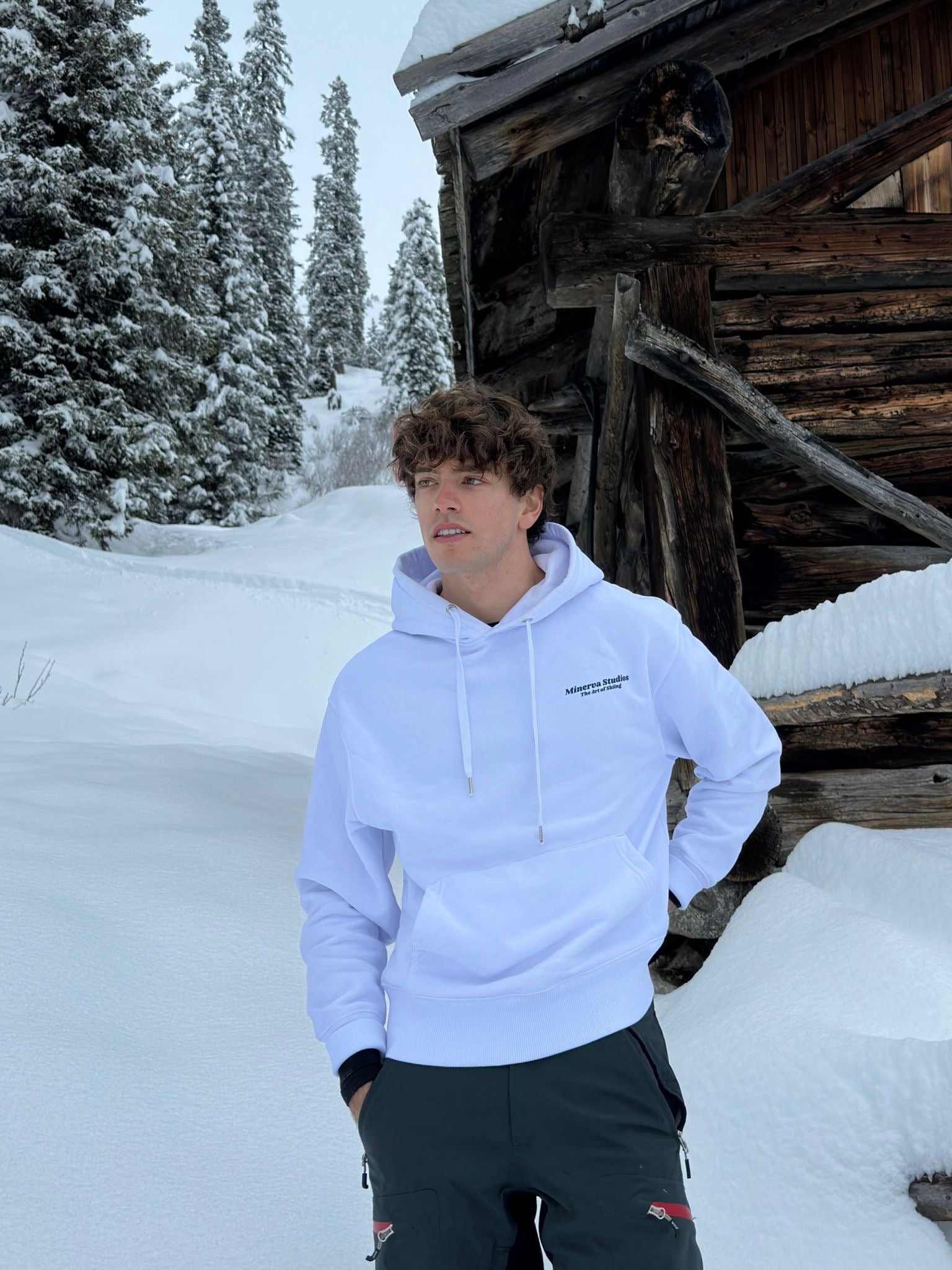 Limited Edition The Art of Skiing - Hoodie