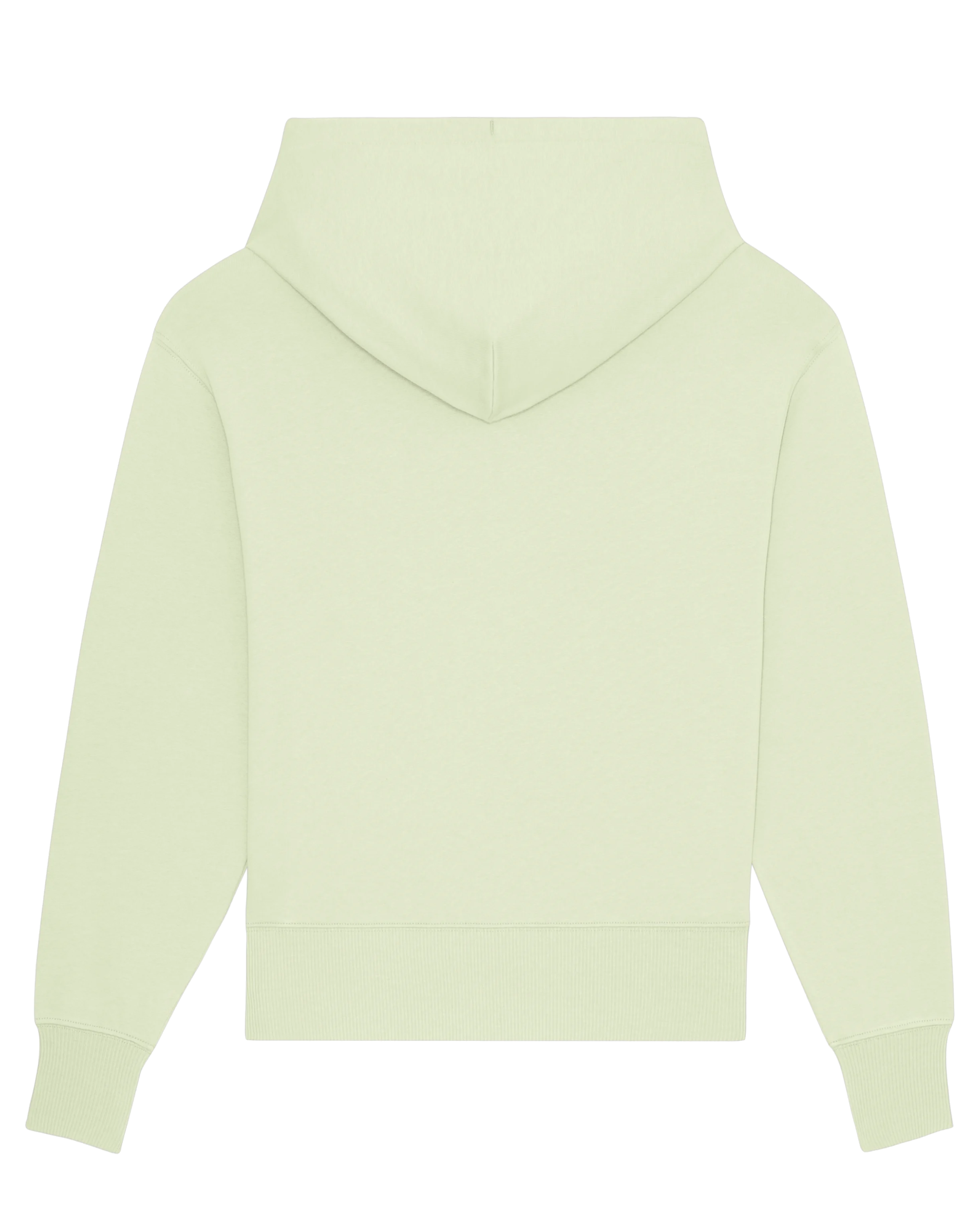 Too Stylish For Streetwear Hoodie - Stem Green